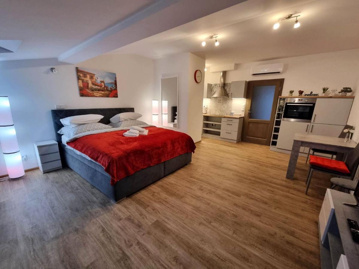 Podkrovni Studio Na Velkem Namesti S Wi-Fi Zdarma Hradec Kralove Exterior foto