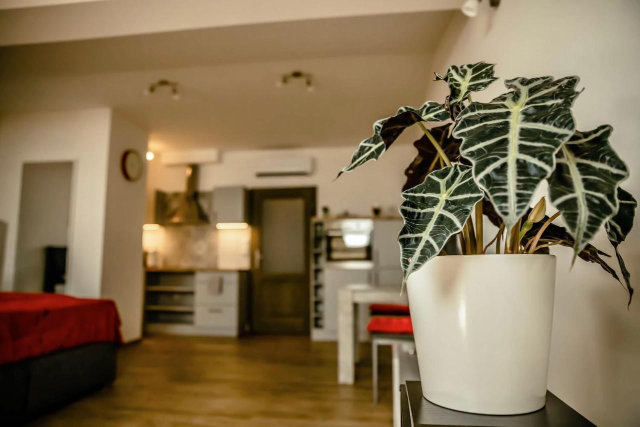 Podkrovni Studio Na Velkem Namesti S Wi-Fi Zdarma Hradec Kralove Exterior foto